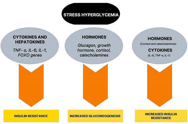 Stress-Induced Hyperglycemia: Consequences and Management